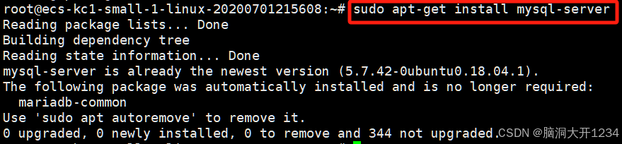 安装 MySQL 服务器